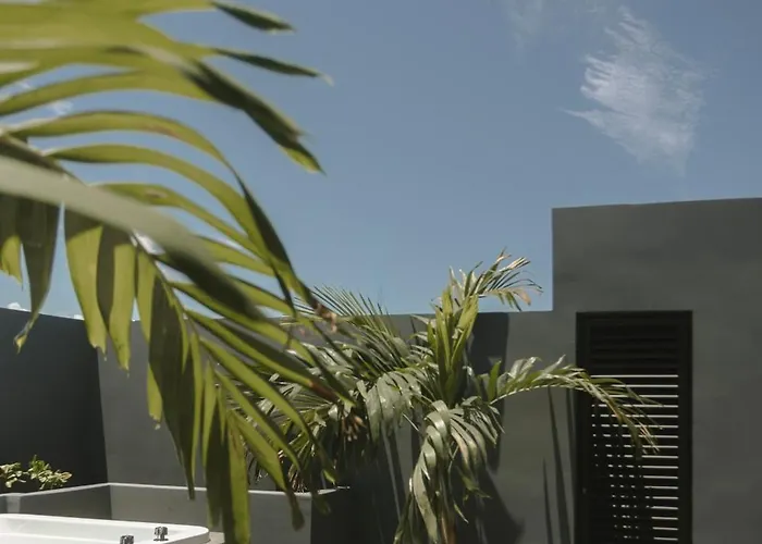 Luna Negra Penthouse 2br *